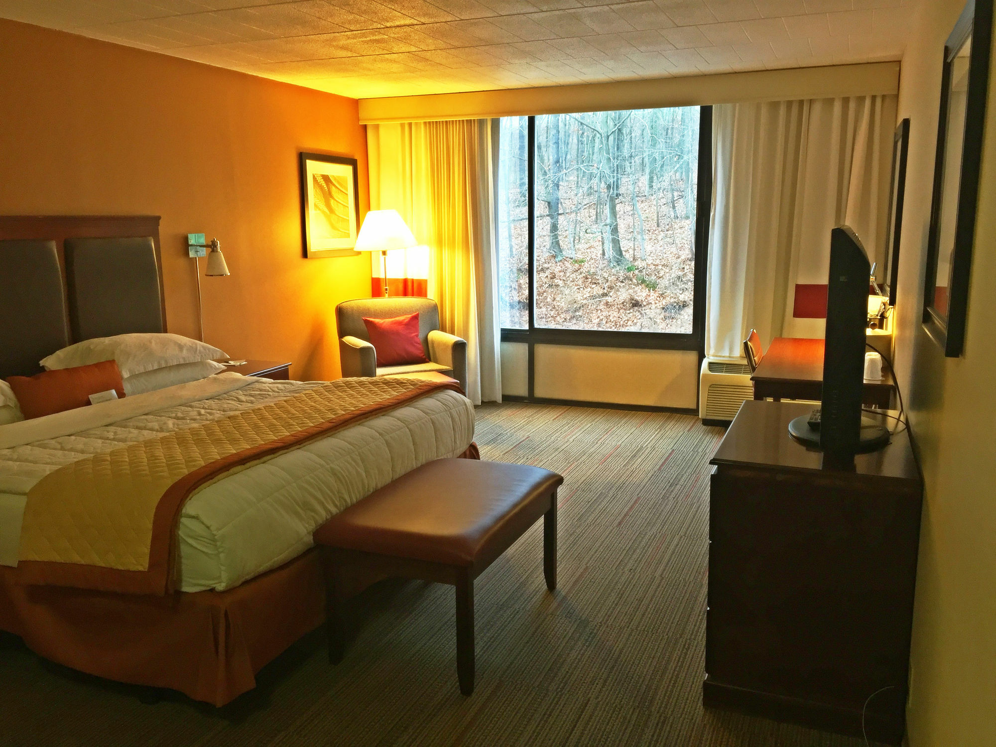 Wyndham Garden Pittsburgh Airport Hotel Robinson Township (Allegheny County)